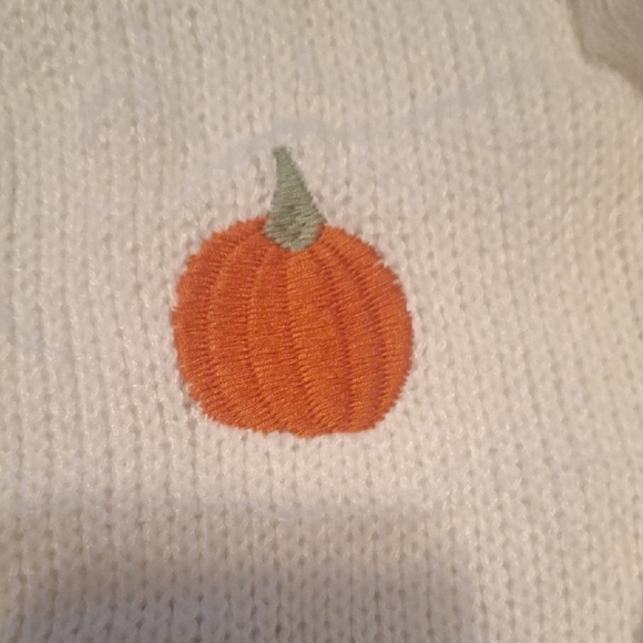 Pumpkin Embroidered Halloween Long Cardigan - Picture 7 of 9